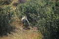 11_torres_del_paine_054