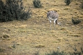 11_torres_del_paine_088