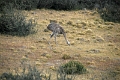 11_torres_del_paine_090
