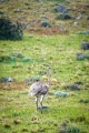 11_torres_del_paine_102
