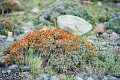 11_torres_del_paine_109