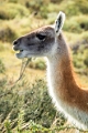 11_torres_del_paine_120