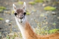 11_torres_del_paine_121