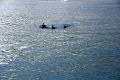 12_glacier_pi_xi_017