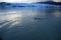 12_glacier_pi_xi_021