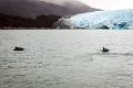 12_glacier_pi_xi_069