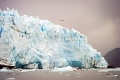 12_glacier_pi_xi_076