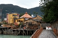 15_tortel_005