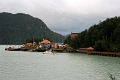 15_tortel_009