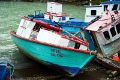 15_tortel_066