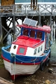15_tortel_068