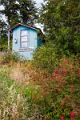 15_tortel_077