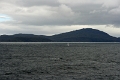 16_la_chasse_a_la_baleine_014
