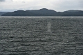 16_la_chasse_a_la_baleine_016