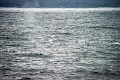 16_la_chasse_a_la_baleine_019