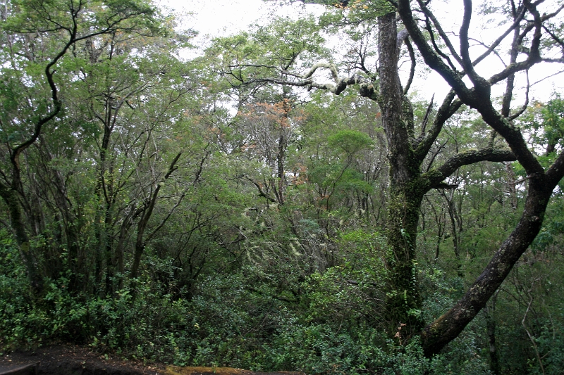 17_puerto_montt_051.jpg