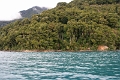 17_puerto_montt_004