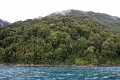 17_puerto_montt_006