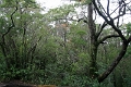 17_puerto_montt_051