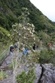 17_puerto_montt_081