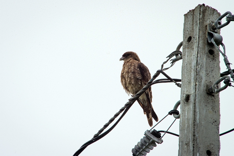 18_ile_chiloe_046.jpg