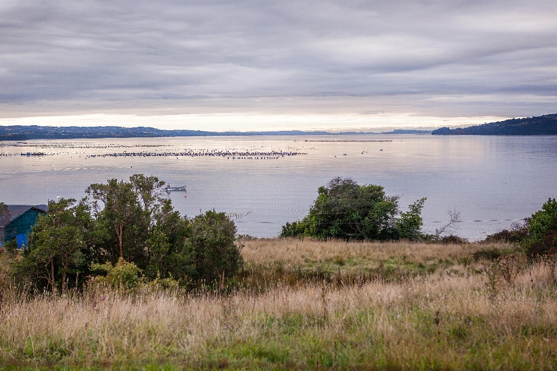 18_ile_chiloe_050.jpg