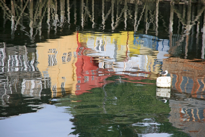 18_ile_chiloe_106.jpg