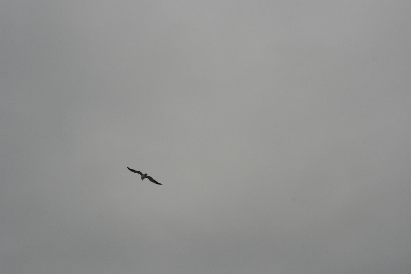 19_valparaiso_011.jpg