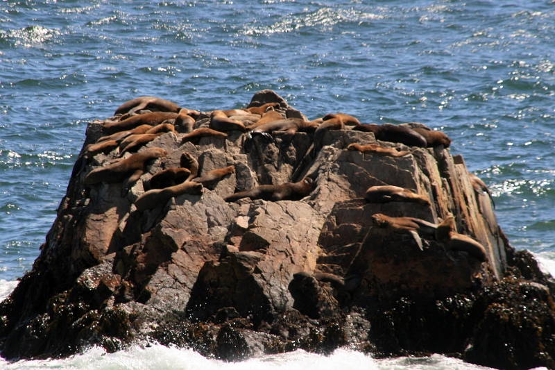 19_valparaiso_049.jpg
