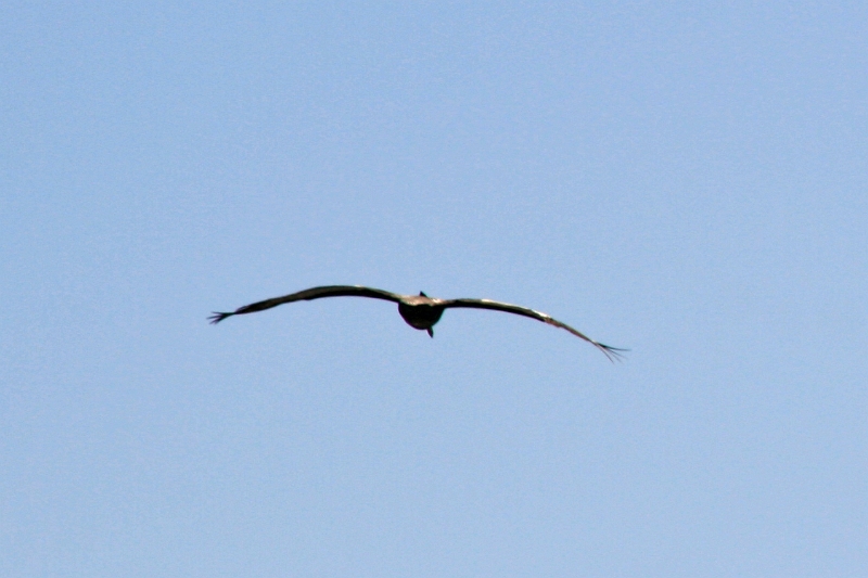 19_valparaiso_051.jpg