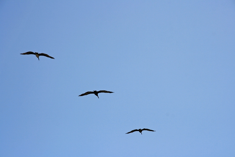19_valparaiso_055.jpg
