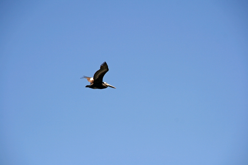 19_valparaiso_056.jpg