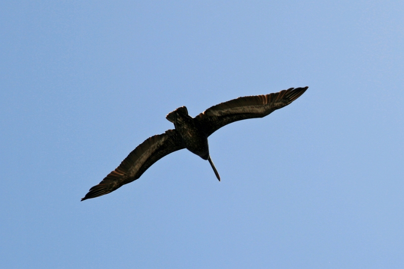 19_valparaiso_060.jpg