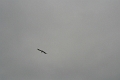 19_valparaiso_011