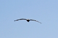 19_valparaiso_051