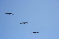 19_valparaiso_055
