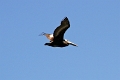 19_valparaiso_057
