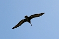 19_valparaiso_060