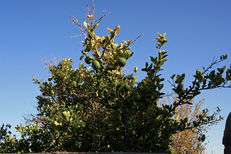 22_villages_008.jpg