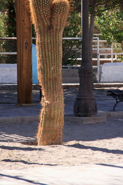 22_villages_027.jpg