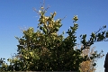 22_villages_008