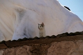 22_villages_012
