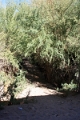 22_villages_024