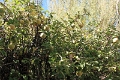 22_villages_025