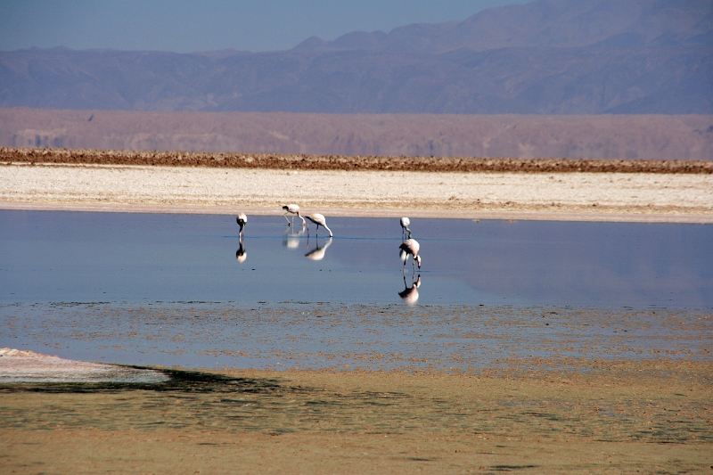 23_laguna_minique_005.jpg