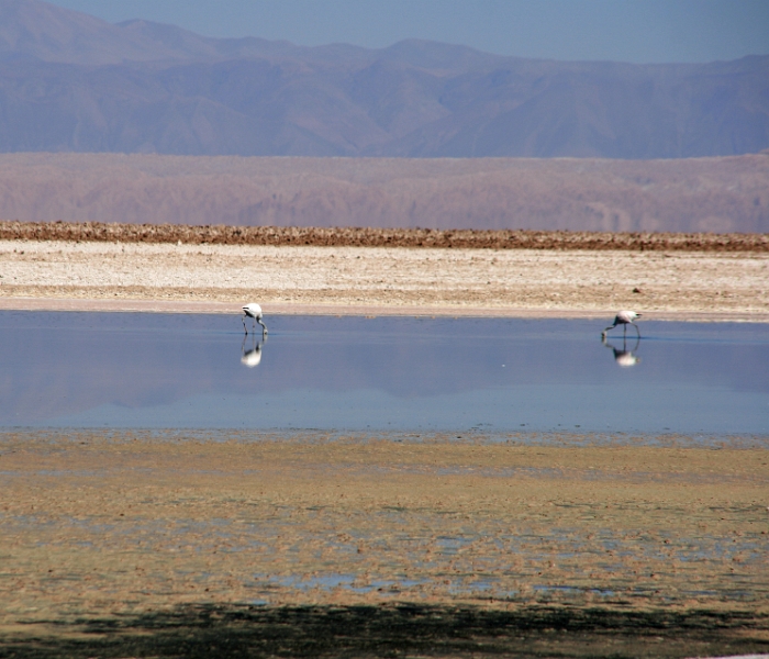 23_laguna_minique_007.jpg