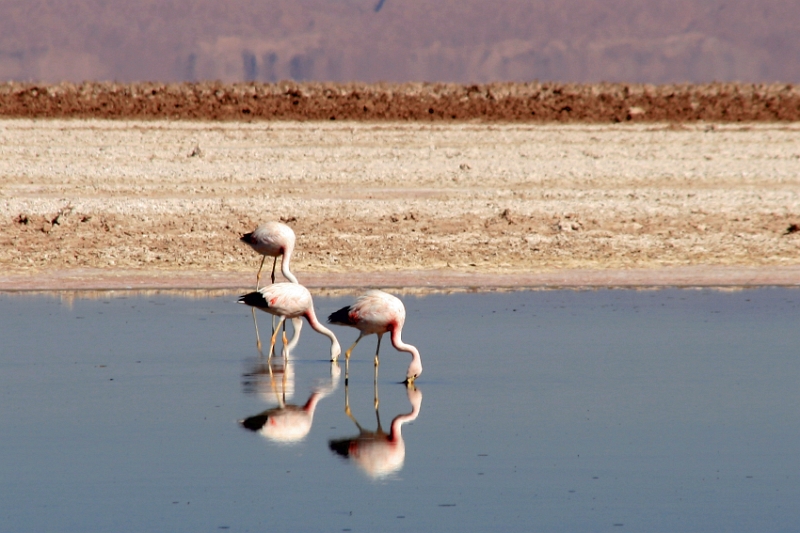 23_laguna_minique_009.jpg