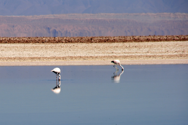 23_laguna_minique_010.jpg