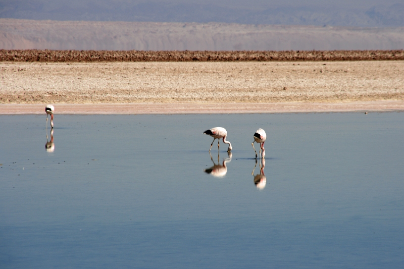 23_laguna_minique_015.jpg