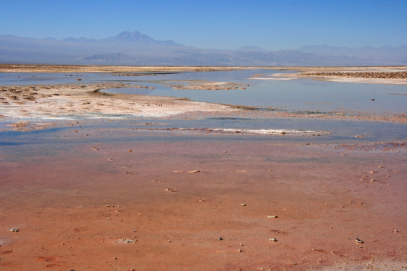 23_laguna_minique_017.jpg